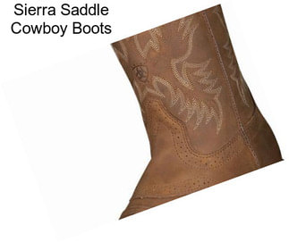 Sierra Saddle Cowboy Boots