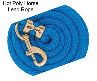 Hot Poly Horse Lead Rope