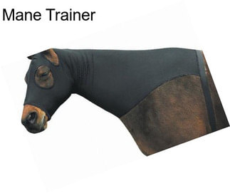 Mane Trainer