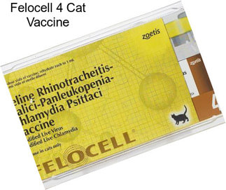 Felocell 4 Cat Vaccine