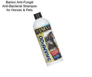 Banixx Anti-Fungal Anti-Bacterial Shampoo for Horses & Pets