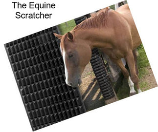 The Equine Scratcher