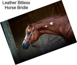 Leather Bitless Horse Bridle