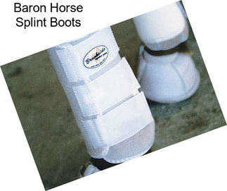 Baron Horse Splint Boots