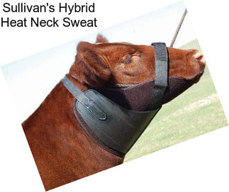 Sullivan\'s Hybrid Heat Neck Sweat