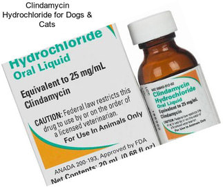 Clindamycin Hydrochloride for Dogs & Cats