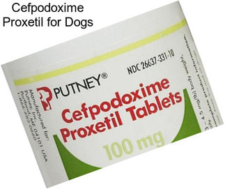 Cefpodoxime Proxetil for Dogs