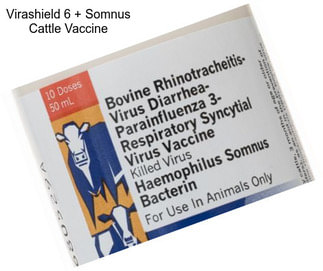 Virashield 6 + Somnus Cattle Vaccine