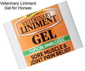 Veterinary Liniment Gel for Horses