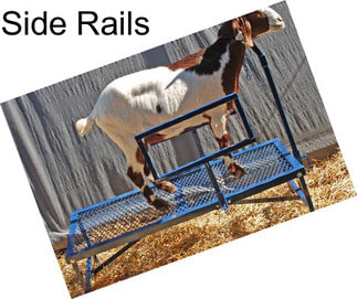 Side Rails