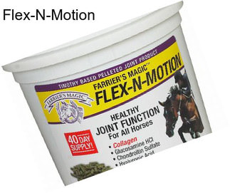 Flex-N-Motion