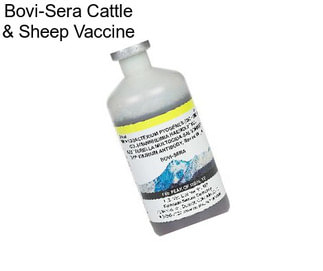 Bovi-Sera Cattle & Sheep Vaccine