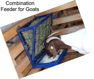 Combination Feeder for Goats