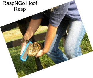 RaspNGo Hoof Rasp