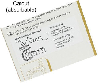 Catgut (absorbable)