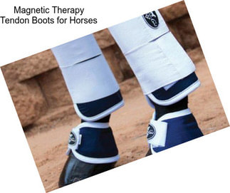 Magnetic Therapy Tendon Boots for Horses