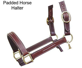 Padded Horse Halter