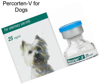 Percorten-V for Dogs