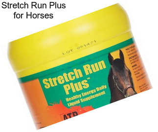 Stretch Run Plus for Horses