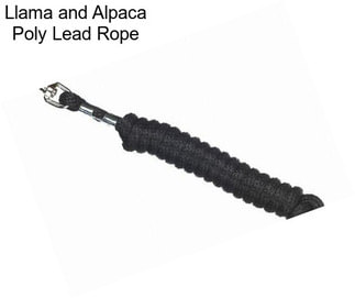 Llama and Alpaca Poly Lead Rope