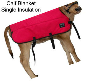 Calf Blanket Single Insulation