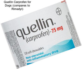 Quellin Carprofen for Dogs (compares to Rimadyl)