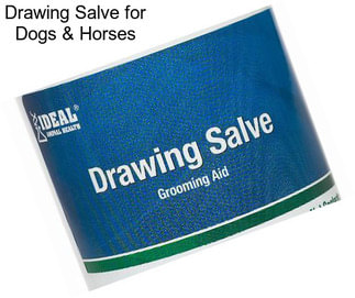 Drawing Salve for Dogs & Horses