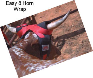 Easy 8 Horn Wrap