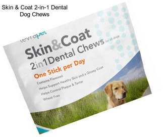 Skin & Coat 2-in-1 Dental Dog Chews