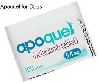 Apoquel for Dogs