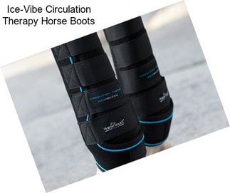 Ice-Vibe Circulation Therapy Horse Boots