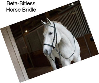 Beta-Bitless Horse Bridle
