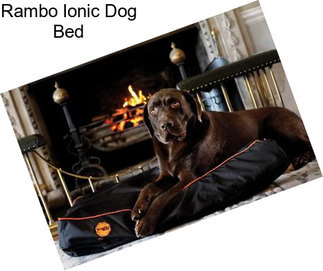 Rambo Ionic Dog Bed