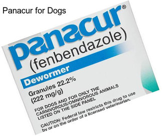 Panacur for Dogs