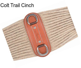 Colt Trail Cinch