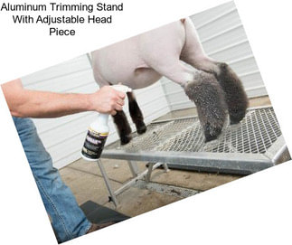 Aluminum Trimming Stand With Adjustable Head Piece