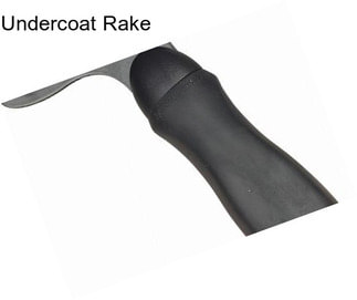 Undercoat Rake