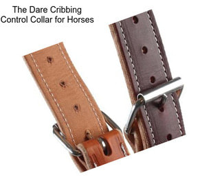 The Dare Cribbing Control Collar for Horses