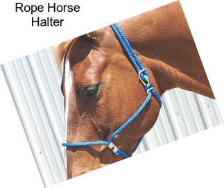 Rope Horse Halter