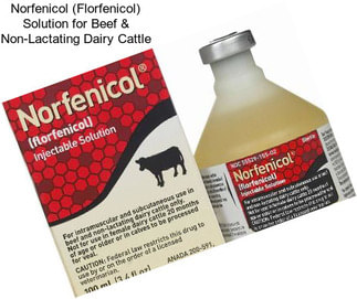 Norfenicol (Florfenicol) Solution for Beef & Non-Lactating Dairy Cattle