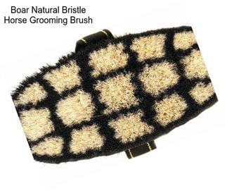 Boar Natural Bristle Horse Grooming Brush