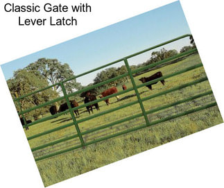 Classic Gate with Lever Latch