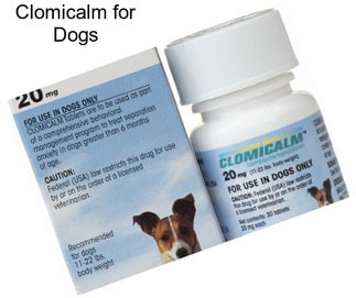 Clomicalm for Dogs