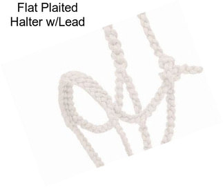 Flat Plaited Halter w/Lead