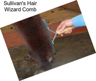 Sullivan\'s Hair Wizard Comb