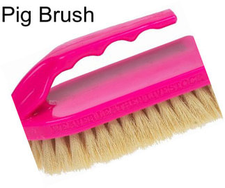 Pig Brush