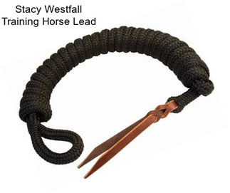 Stacy Westfall Training Horse Lead