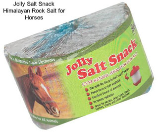 Jolly Salt Snack Himalayan Rock Salt for Horses