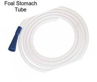Foal Stomach Tube