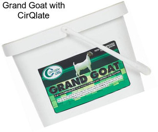 Grand Goat with CirQlate